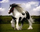 68101_441423641851_377366401851_5780366_1426115_s.jpg, 7 KB